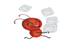 قطعٌ من السُّكر
