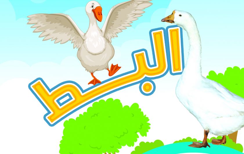 البط