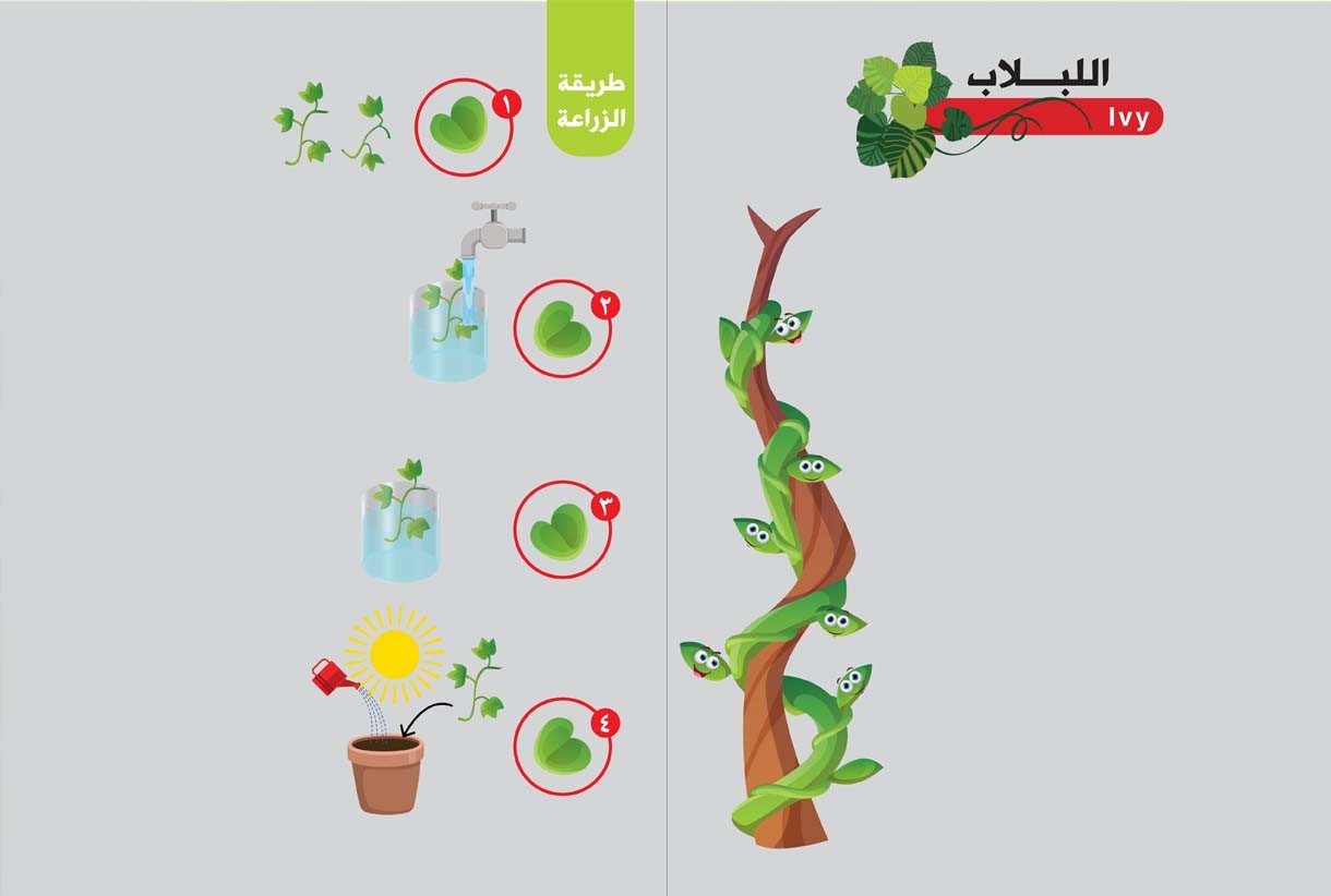 فوائد شجرة اللبلاب