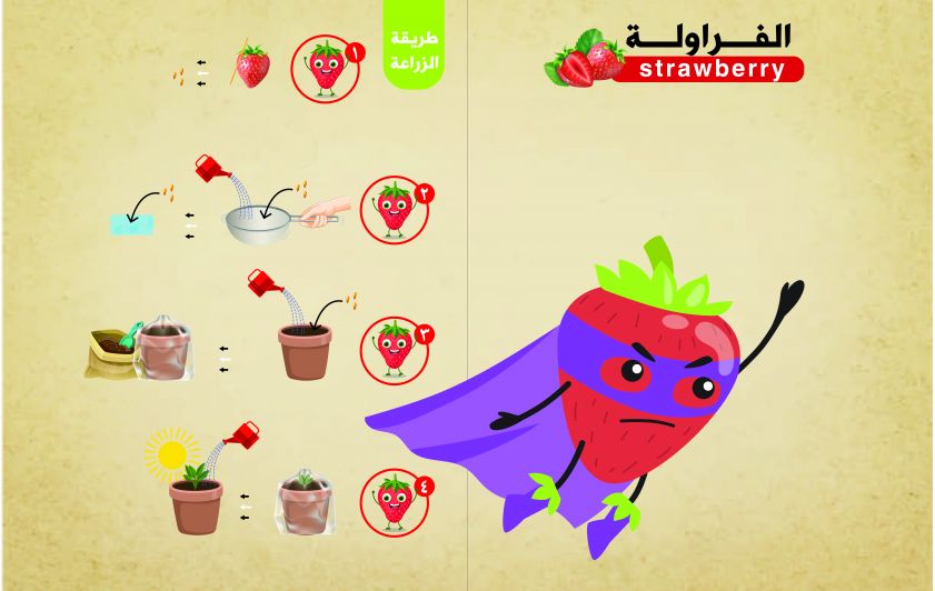 الفراولة