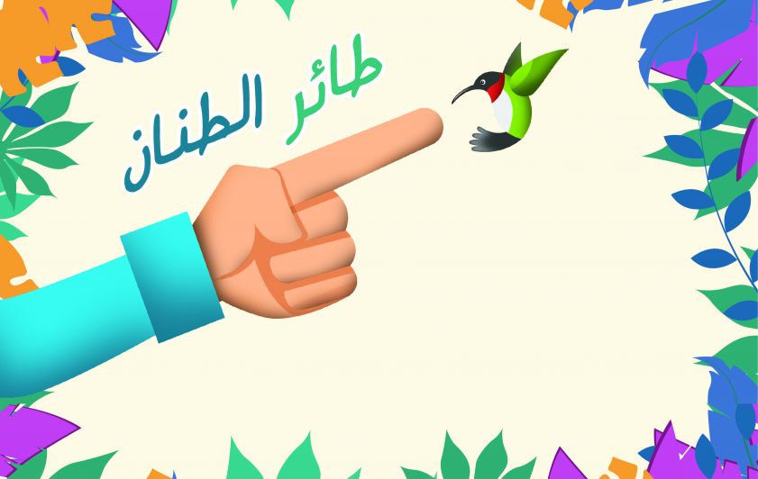 لنتعلم من طائر الطنان