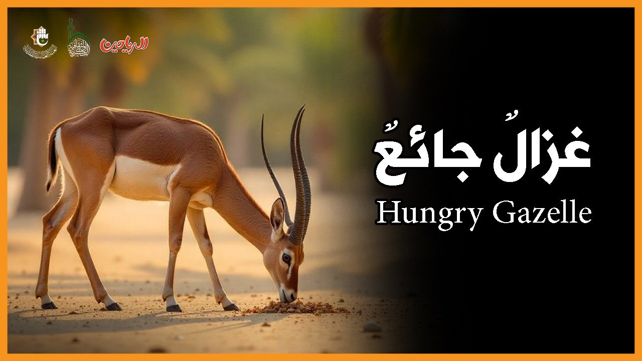 غزال جائع
